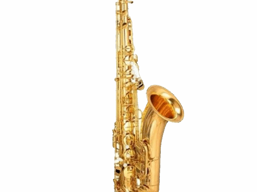 JBTS-100 Tenor Saxophone