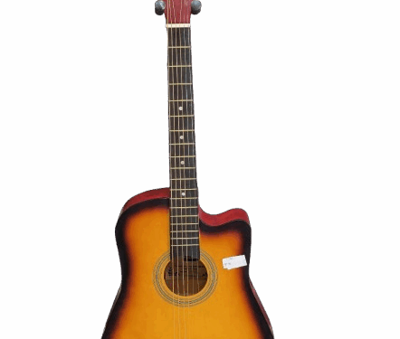 Siltron Acoustic Guitar (Model: T38C)