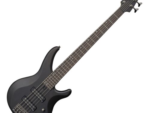 TRBX505 5-String Electric Bass Guitar